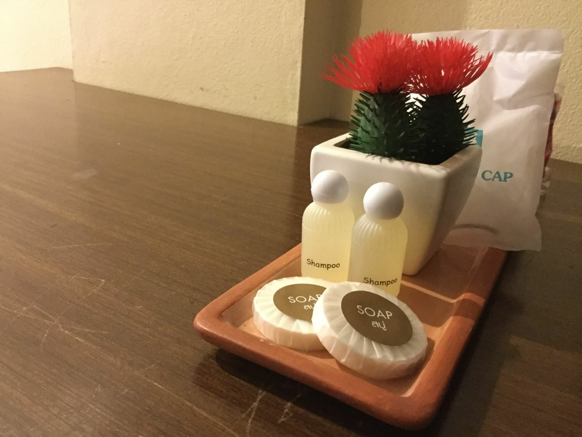 清迈塔佩大酒店 3* 清邁